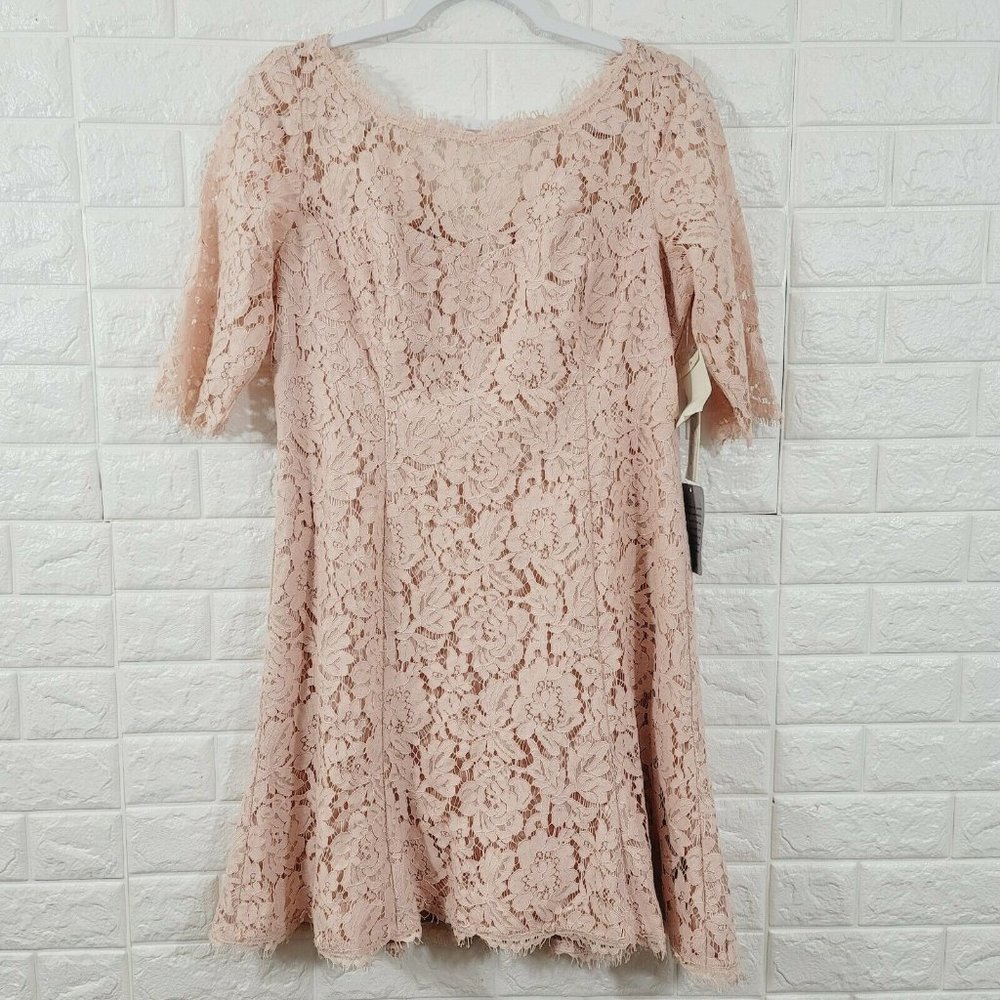 Eliza J Women' Over All Mesh Dress 3/4 Sleeve Boat Neck Floral Print Pink AZ 12P